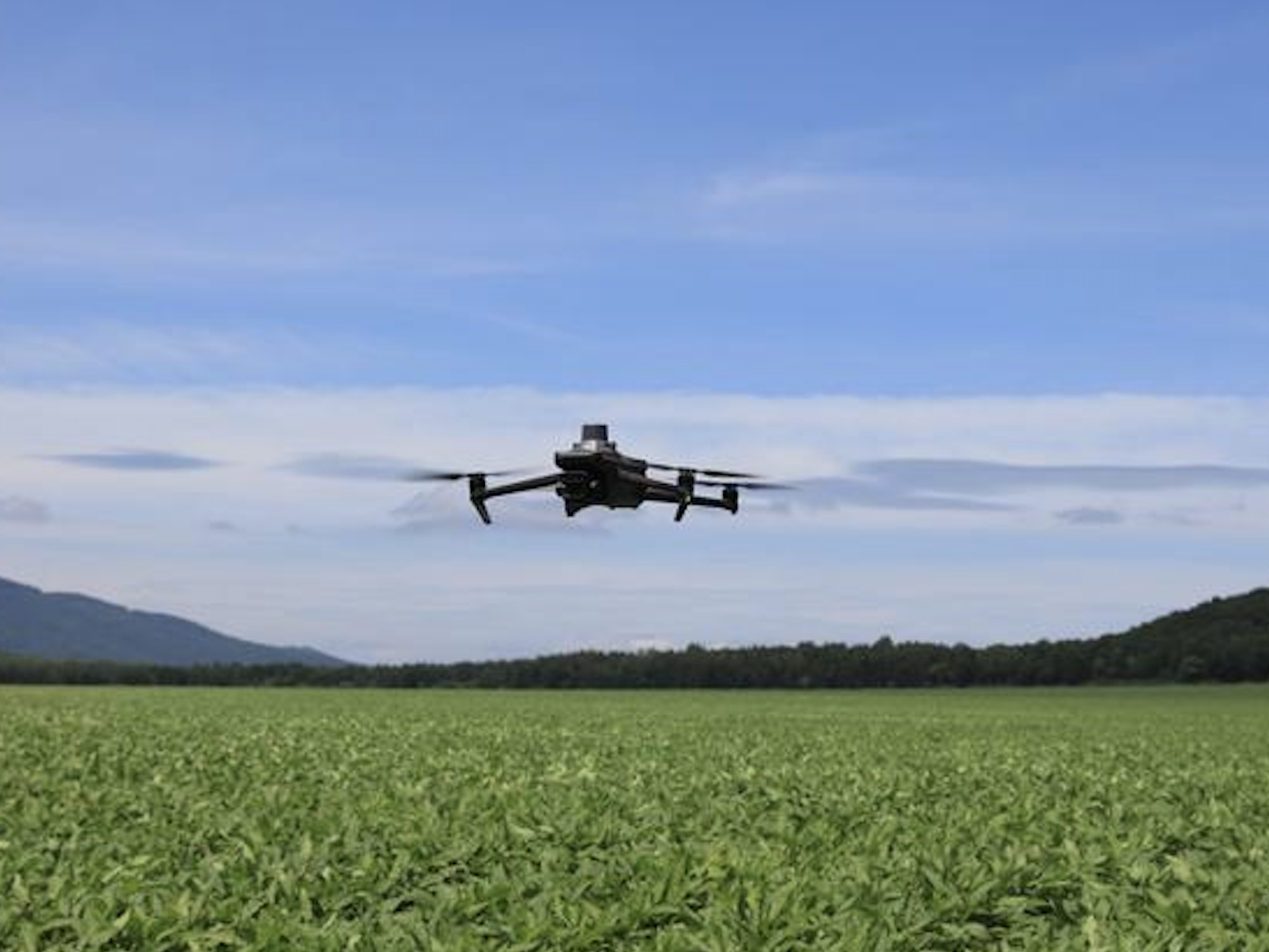 drone champs